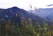 South part of Baliem Valley. Indonesia.