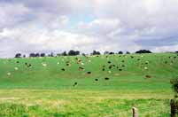 South East England. Great Britain.