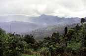 Area around Kalaw village. Myanmar (Burma).