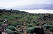 Around Mt Damavand mountain. Iran.