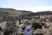 Bale Mountain National Park. South,  Ethiopia.