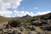 Bale Mountain National Park. Ethiopia.