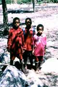 Papua children from Wamerek village. South part of Baliem Valley. Indonesia.