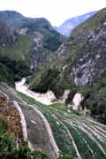 Sweet potato fields. South part of Baliem Valley. Papua,  Indonesia.