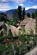 Traditional village of Dani tribe. South part of Baliem Valley. Indonesia.