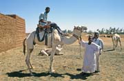 Camel market at the outskirts of Lybia market. Khartoum (Omdurman). Sudan.
