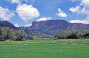 Rice fields, Tana Toraja area. Indonesia.
