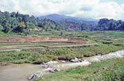 Ricefield, Mamasa valley, Tana Toraja area. Indonesia.