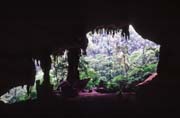 Niah cave. Sarawak,  Malaysia.