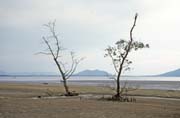 Bako national park. Sarawak,  Malaysia.