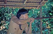 Punan tribe use for hunting blowpipes. Cultural village near Kuching. Malaysia.