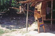 Punan tribe use for hunting blowpipes. Cultural village near Kuching. Malaysia.