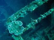Wrack of steel Dutch merchant ship, sunk in 1942. Diving around Bunaken island, Molas Wreck dive site. Indonesia.