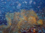 Diving around Bunaken island, Alban dive site. Sulawesi,  Indonesia.