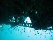 Diving around Togian islands, Kadidiri, plane wreck B24 from the 2nd World War sunken on Mai 3rd, 1945. Sulawesi,  Indonesia.