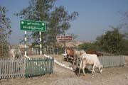 Snapshot from travel to Chin State. Myanmar (Burma).