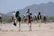 Camel race at traditional tuareg wedding party. Air Mountain area. Niger.