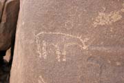 Historical paintings at Sahara desert at Zarzen area. They show typical African animals which lived there many years ago when enough grass and water was here. Niger.