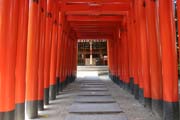 Multiple torii at Kushida shrine at at Fukuoka city. Japan.