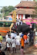 Thaipooya Mahotsavam Festival is starting. First elephant at the head of the first procession is coming. Thrissur, Kerala. India.