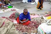 At the market at Dire Dawa. Ethiopia.