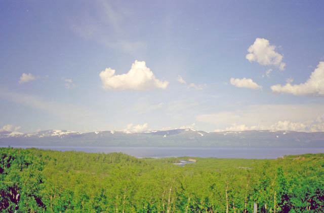 View to the Abisko National park on the way to Narvik. Sweden.