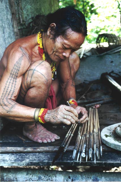 Poison arrows making. Siberut island. Sumatra,  Indonesia.