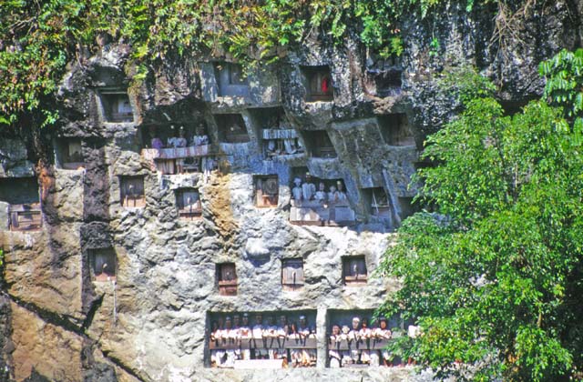 Traditional graves at Lemo village. Tau tau figures can be seen at galleries in front of graves. Tana Toraja area. Sulawesi,  Indonesia.