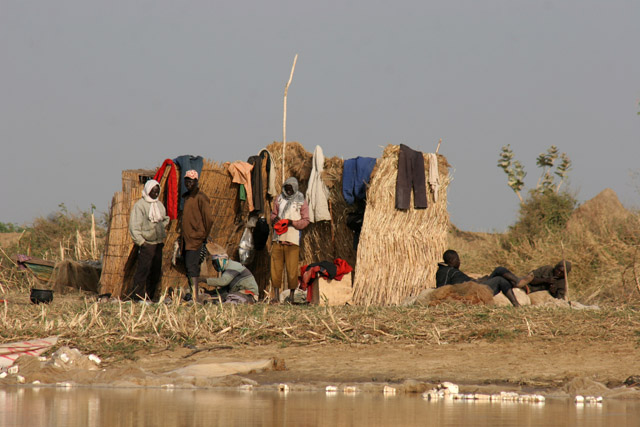 Life around Chari river inflow of Lake Chad. Cameroon.