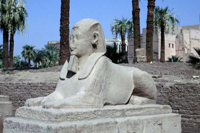 Luxor temple. Egypt.