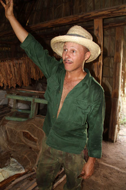 Farmer, tobacco farm, Vinales valley (Valle de Vinales). Cuba.