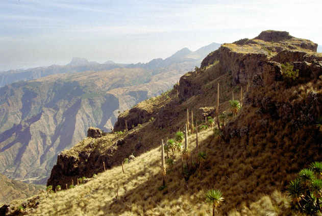 Simien mountains. North,  Ethiopia.